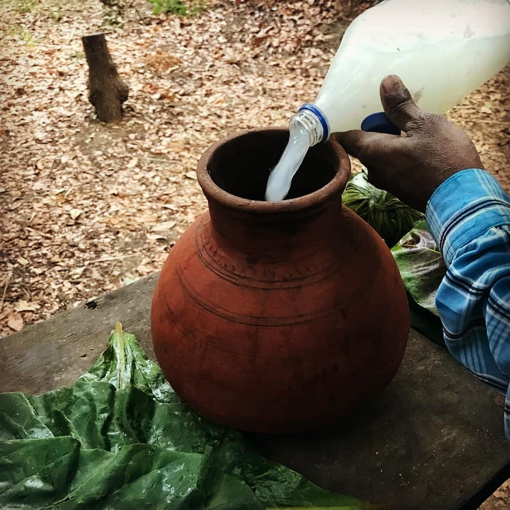 palm wine
