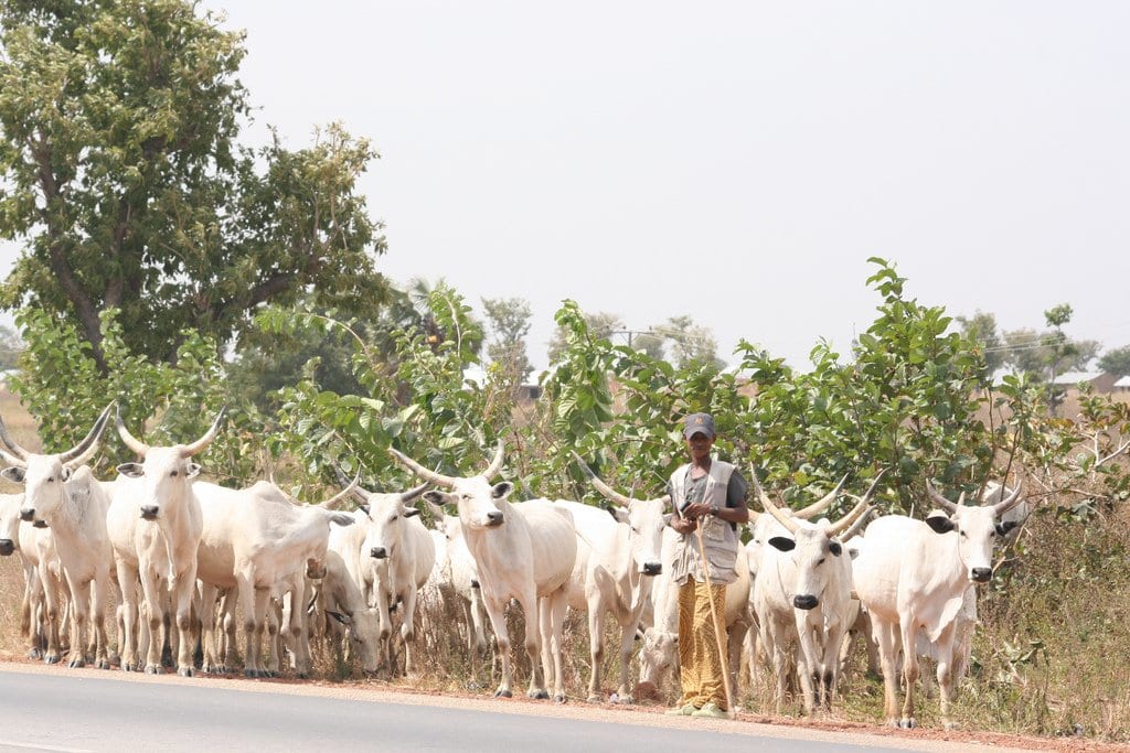fact about fulani herdsmen in africa