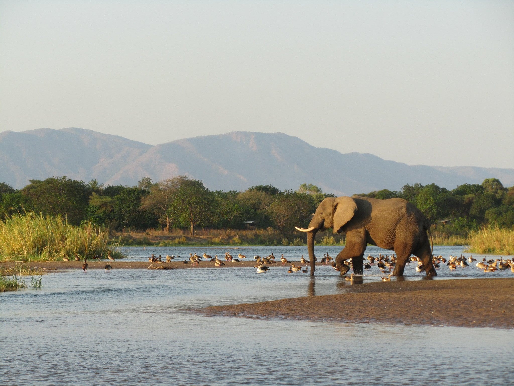Zambezi Valley natural park