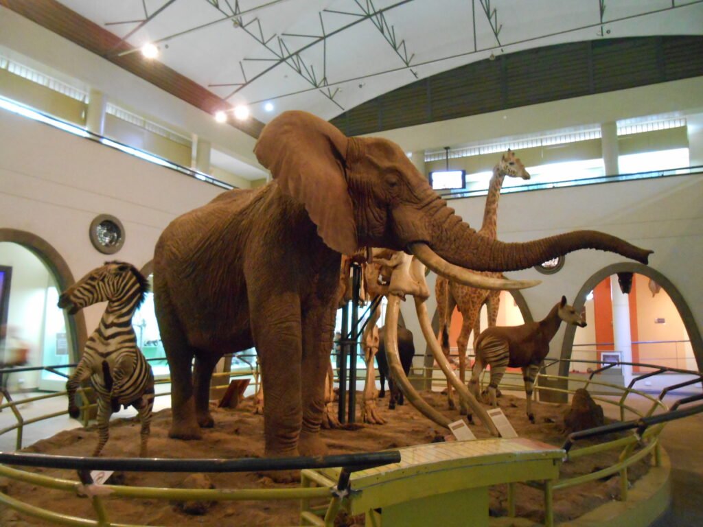 Top 5 Best Museums To Visit In Kenya (Photos) - Dream Africa