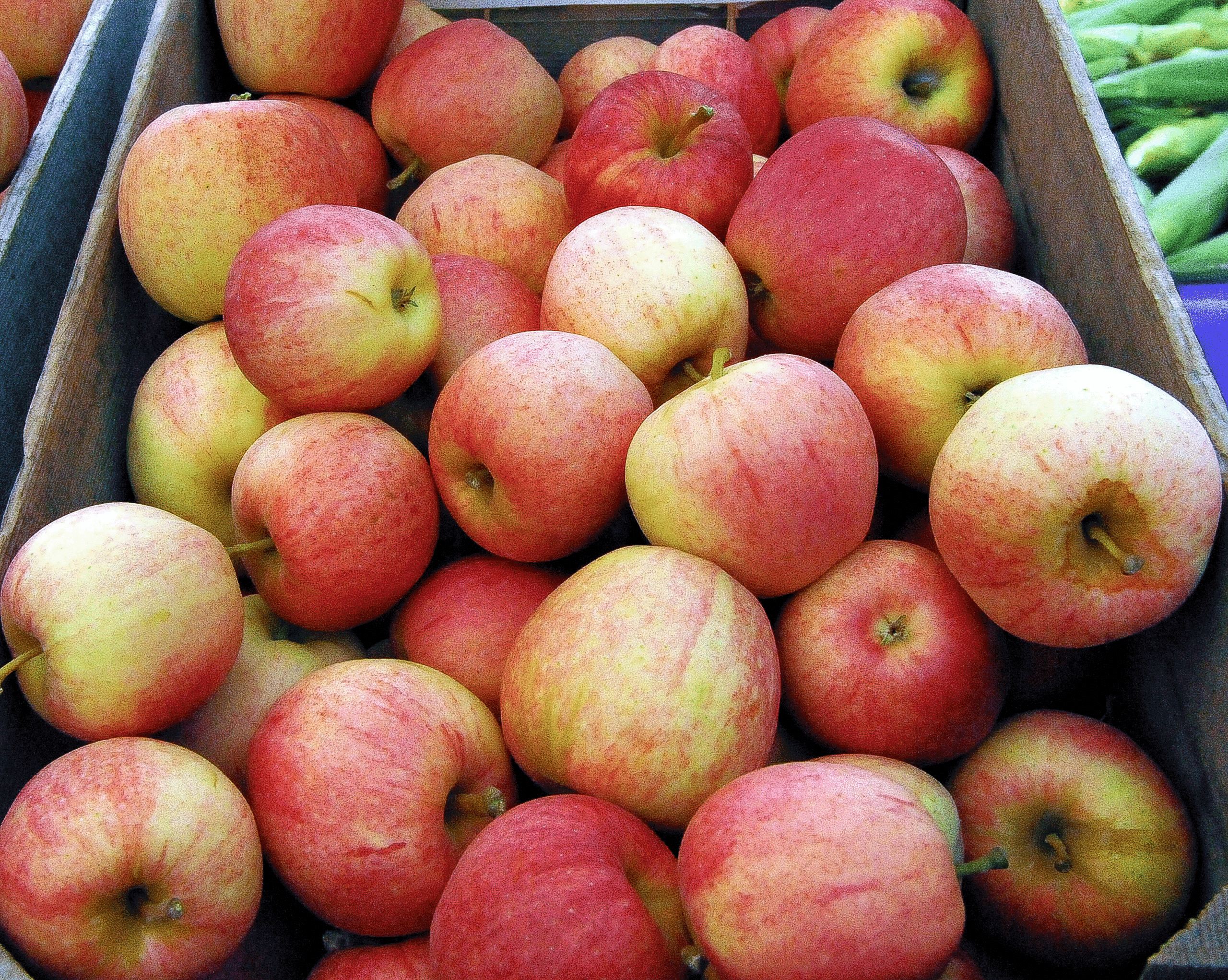 apples for Flat belly and weight loss