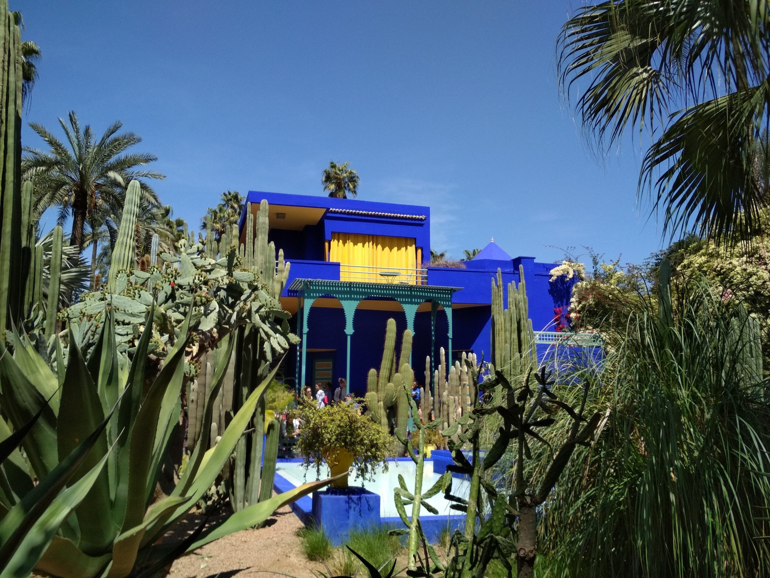 Top Reasons to Visit Marrakech: Majorelle Garden (Yves Saint Laurent Museum)