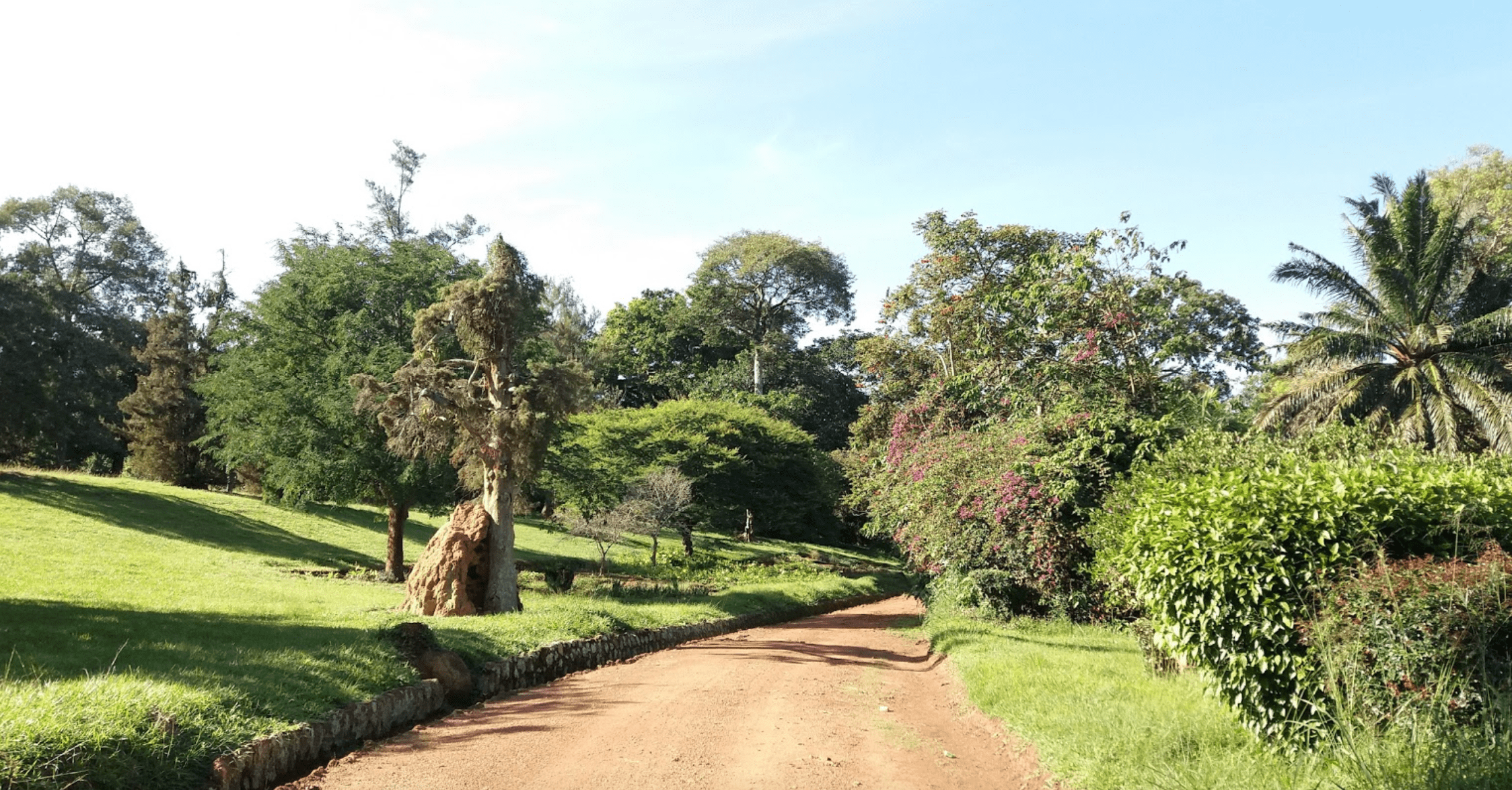 Entebbe Botanical Garden