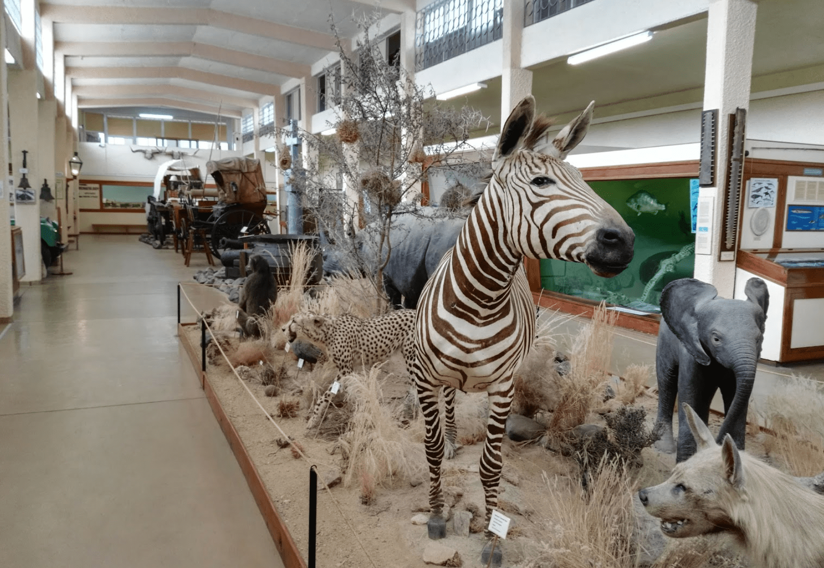 Museum in Swakopmund