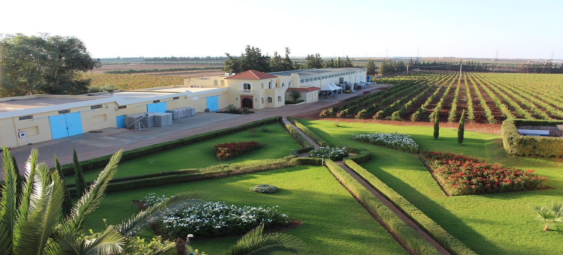 winery in Meknes