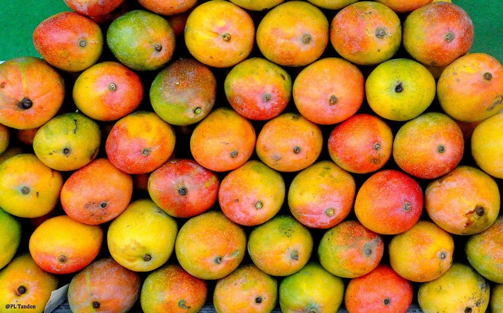 mangoes healthy fruits